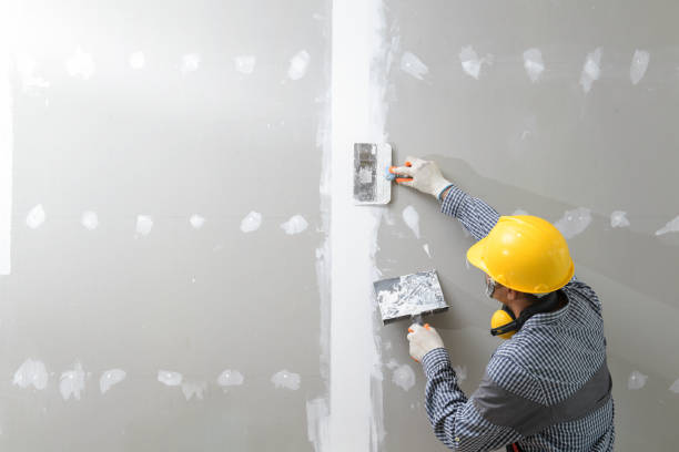 Best Black Mold Removal  in Liberal, KS