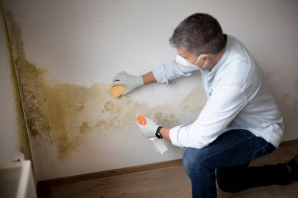 Best Crawl Space Mold Remediation  in Liberal, KS