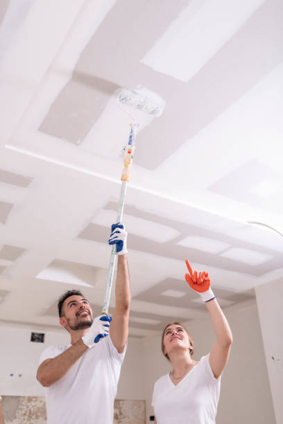 Best Mold Prevention Services  in Liberal, KS