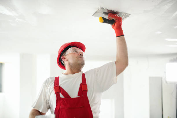 Trusted Liberal, KS Mold Removal Experts